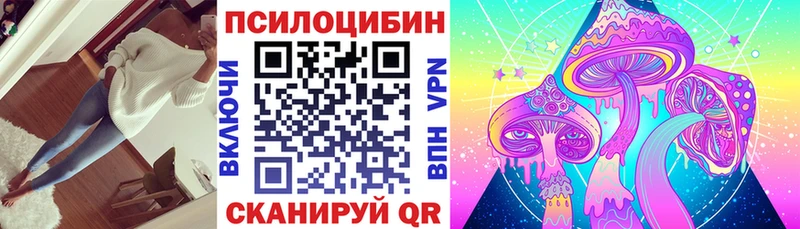 Галлюциногенные грибы Psilocybe  цены   Яхрома 